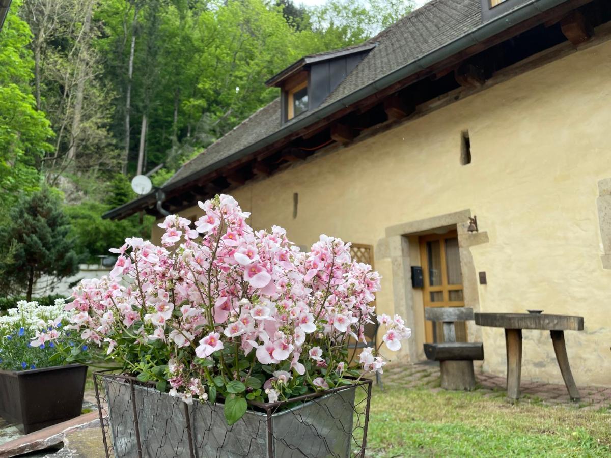 Bed & Breakfast Muellers Klostermuehle Muenstertal Luaran gambar