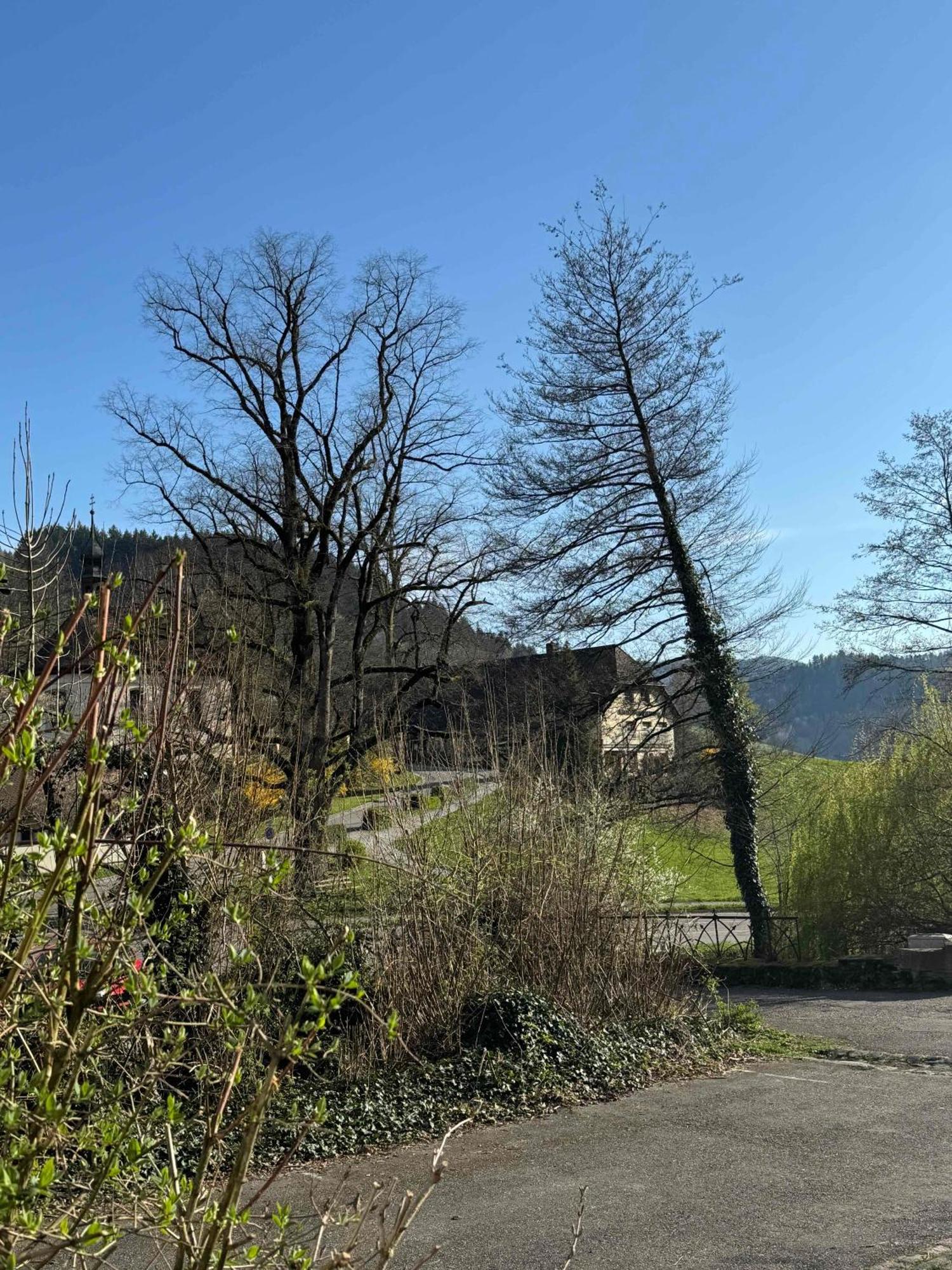 Bed & Breakfast Muellers Klostermuehle Muenstertal Luaran gambar